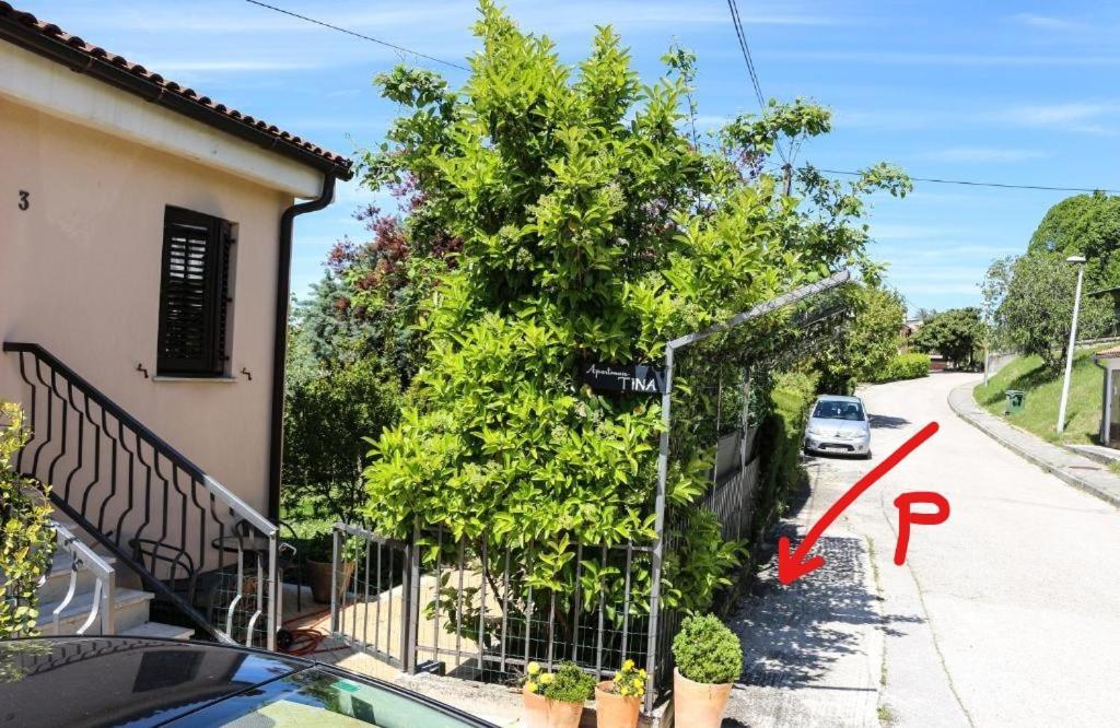 Apartment Tina Istra Buje Exteriér fotografie